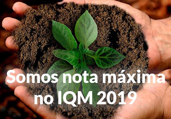 IQM 2019