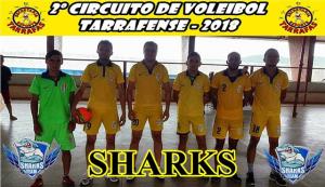 SHARKS.jpg